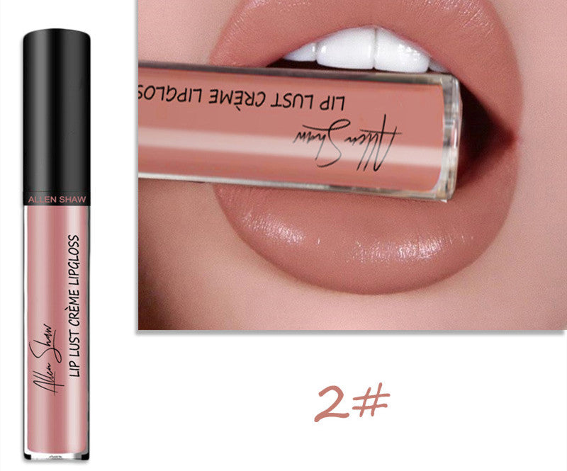 Silky Cream Texture Lip Gloss Cross-Border - PixelGlamour